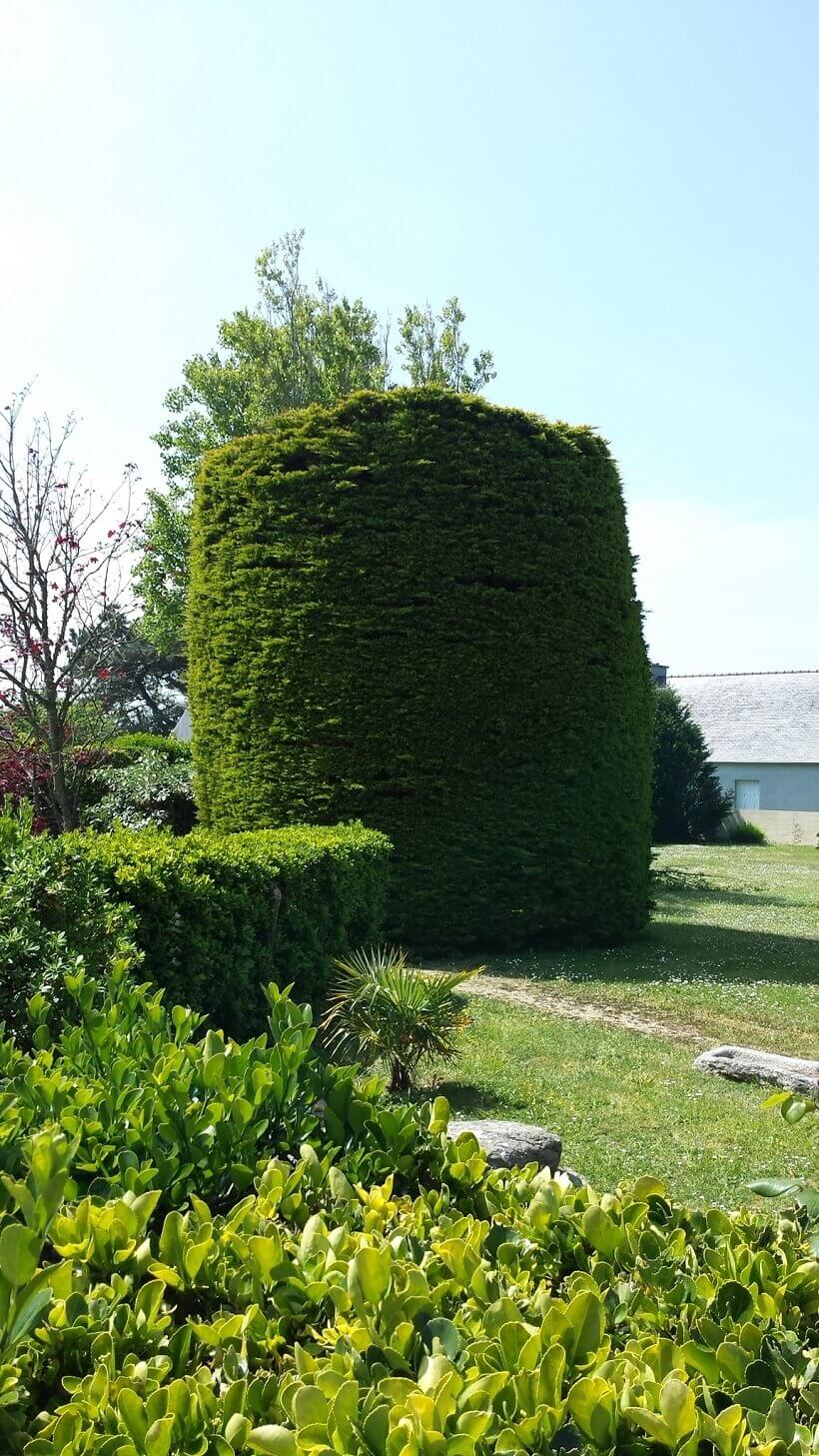 haie ronde