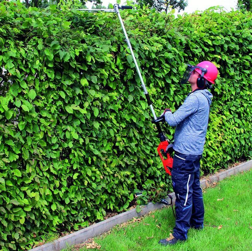 taille haie sur perche Einhell